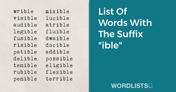 Words with the suffix ible